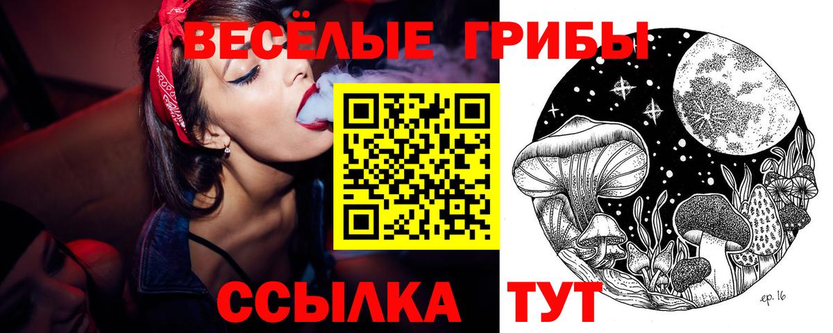 Псилоцибиновые грибы мухоморы  Вход с VPN  Псилоцибиновые грибы Psilocybe  Владимир 